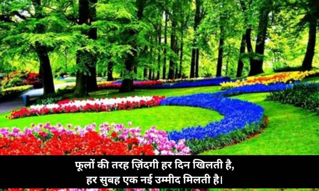 zindagi-flower-shayari